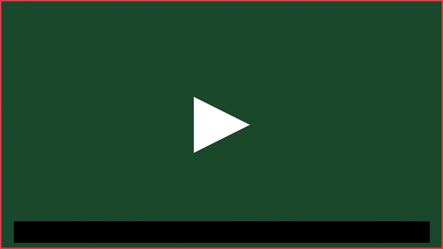 日本无码传媒影视制作许可证徽章